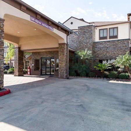 Comfort Suites Lake Jackson Clute מראה חיצוני תמונה