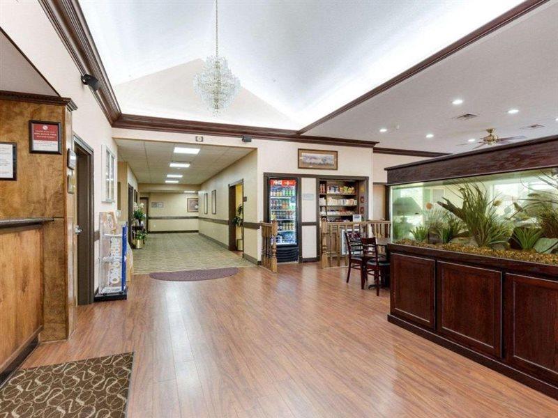 Comfort Suites Lake Jackson Clute מראה חיצוני תמונה